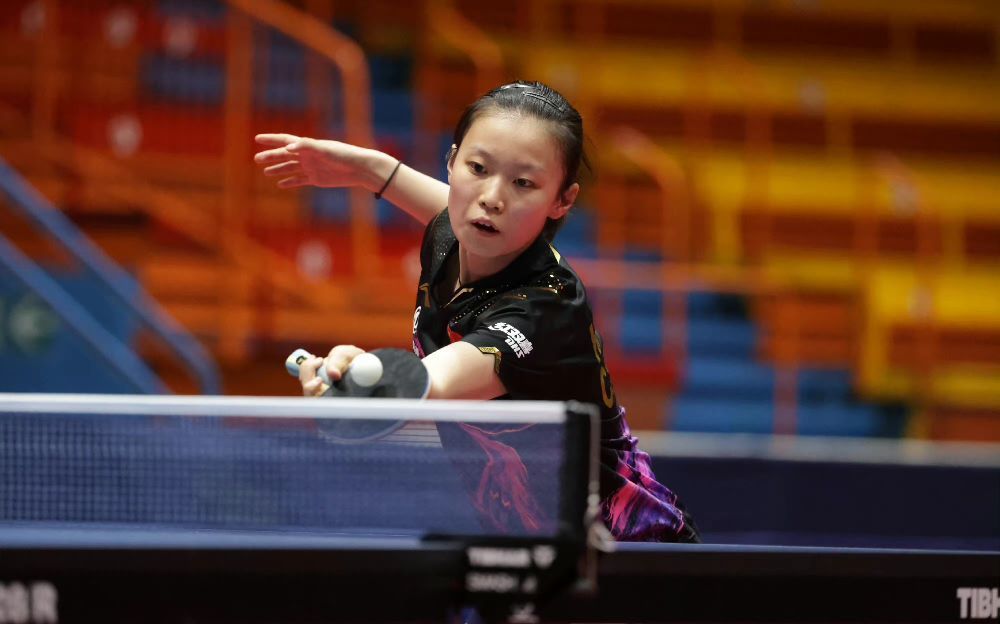 多纤维素的 多纤维素的