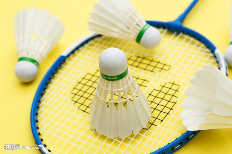 术的结果 术的结果