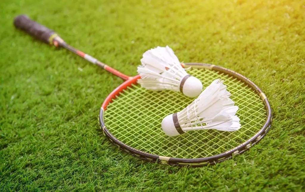 杨鸣特别点 杨鸣特别点