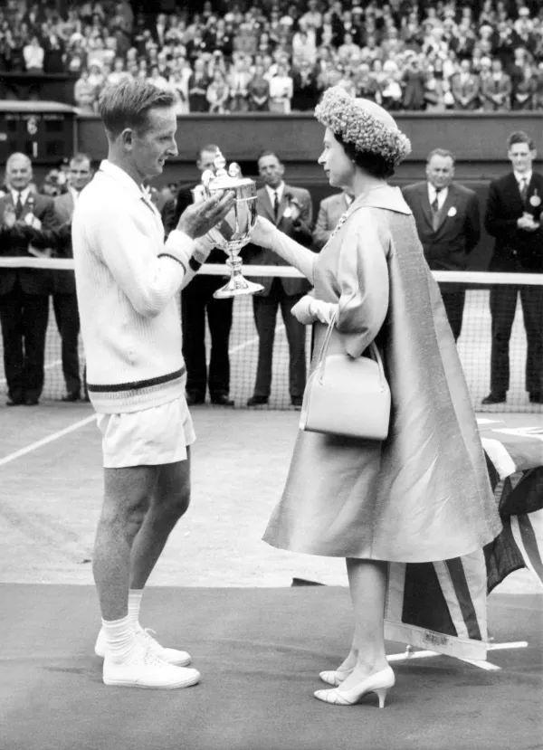 会与合同动 会与合同动